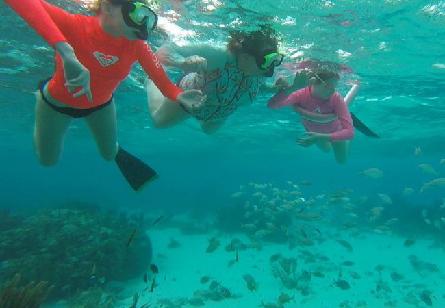 Snorkeling with pool noodles