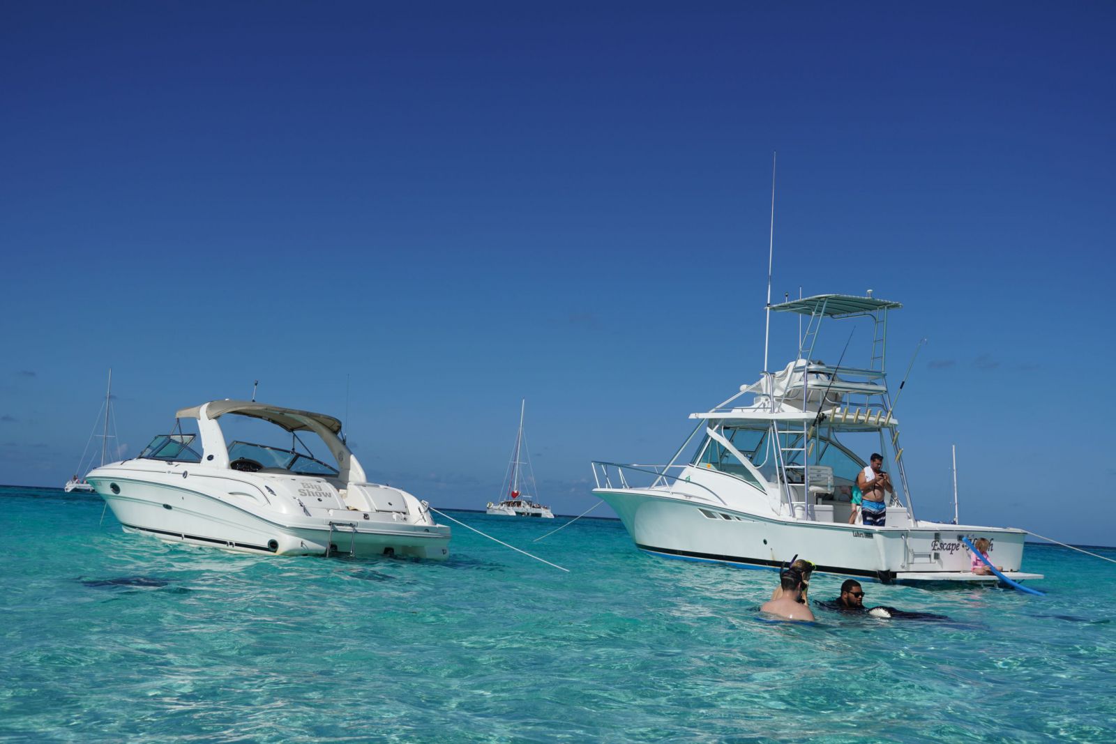 Stingray City and Snorkeling Tours Private Boat Charter Grand Cayman